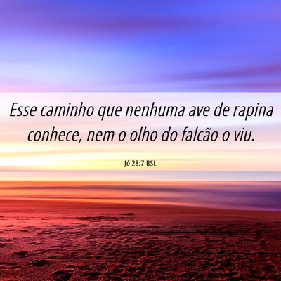 Picture 06 - Jó 28:7 BSL - Esse caminho que nenhuma ave de rapina conhece, - Bible Verse Picture