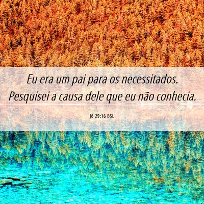Picture 06 - Jó 29:16 BSL - Eu era um pai para os necessitados. Pesquisei a - Bible Verse Picture