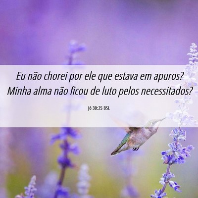Picture 06 - Jó 30:25 BSL - Eu não chorei por ele que estava em apuros? - Bible Verse Picture