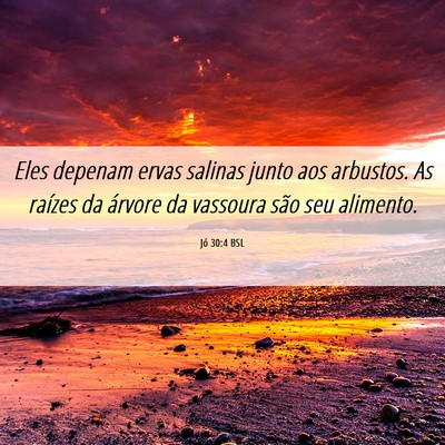 Picture 06 - Jó 30:4 BSL - Eles depenam ervas salinas junto aos arbustos. As - Bible Verse Picture