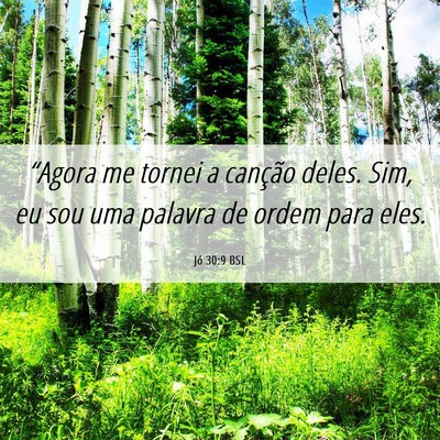 Picture 06 - Jó 30:9 BSL - “Agora me tornei a canção deles. Sim, eu sou - Bible Verse Picture