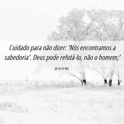 Picture 06 - Jó 32:13 BSL - Cuidado para não dizer: 'Nós encontramos a - Bible Verse Picture