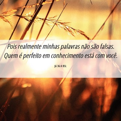 Picture 06 - Jó 36:4 BSL - Pois realmente minhas palavras não são falsas. - Bible Verse Picture