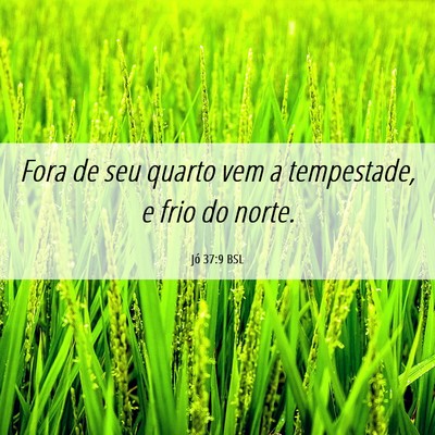 Picture 06 - Jó 37:9 BSL - Fora de seu quarto vem a tempestade, e frio do - Bible Verse Picture