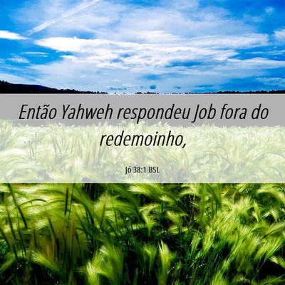 Picture 06 - Jó 38:1 BSL - Então Yahweh respondeu Job fora do - Bible Verse Picture
