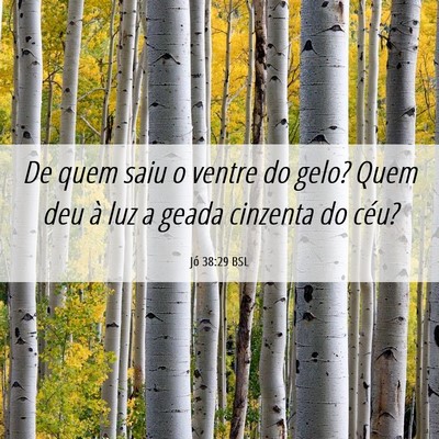 Picture 06 - Jó 38:29 BSL - De quem saiu o ventre do gelo? Quem deu à luz a - Bible Verse Picture