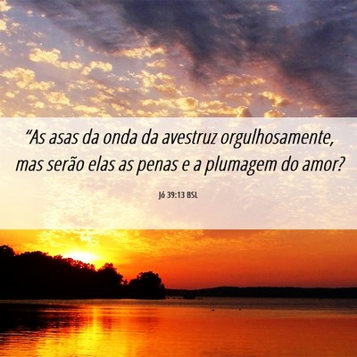 Picture 06 - Jó 39:13 BSL - “As asas da onda da avestruz orgulhosamente, - Bible Verse Picture