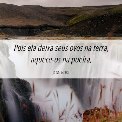 Picture 06 - Jó 39:14 BSL - Pois ela deixa seus ovos na terra, aquece-os na - Bible Verse Picture