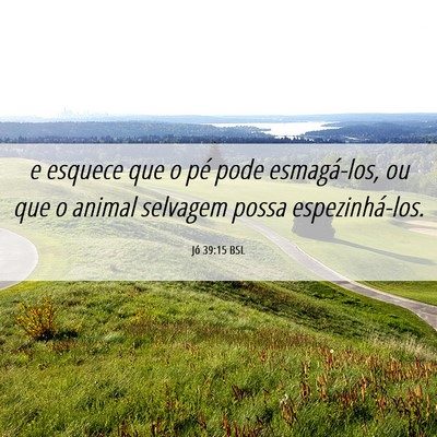 Picture 06 - Jó 39:15 BSL - e esquece que o pé pode esmagá-los, ou que o - Bible Verse Picture