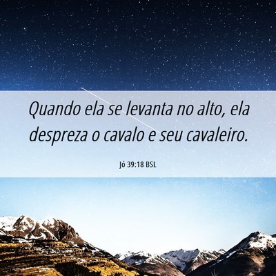 Picture 06 - Jó 39:18 BSL - Quando ela se levanta no alto, ela despreza o - Bible Verse Picture