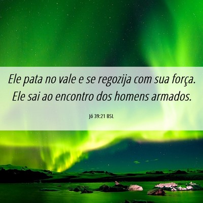 Picture 06 - Jó 39:21 BSL - Ele pata no vale e se regozija com sua força. - Bible Verse Picture