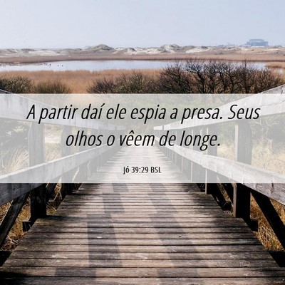 Picture 06 - Jó 39:29 BSL - A partir daí ele espia a presa. Seus olhos o - Bible Verse Picture
