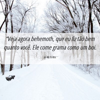 Picture 06 - Jó 40:15 BSL - “Veja agora behemoth, que eu fiz tão bem - Bible Verse Picture