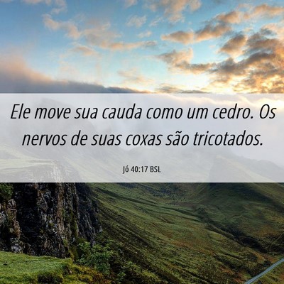 Picture 06 - Jó 40:17 BSL - Ele move sua cauda como um cedro. Os nervos de - Bible Verse Picture