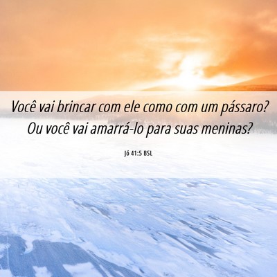 Picture 06 - Jó 41:5 BSL - Você vai brincar com ele como com um pássaro? - Bible Verse Picture