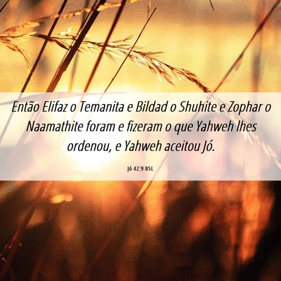 Picture 06 - Jó 42:9 BSL - Então Elifaz o Temanita e Bildad o Shuhite e - Bible Verse Picture