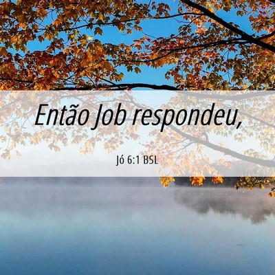 Picture 06 - Jó 6:1 BSL - Então Job - Bible Verse Picture