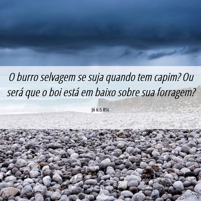 Picture 06 - Jó 6:5 BSL - O burro selvagem se suja quando tem capim? Ou - Bible Verse Picture