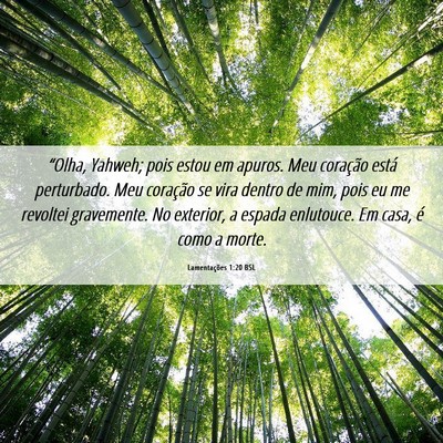 Picture 06 - Lamentações 1:20 BSL - “Olha, Yahweh; pois estou em apuros. Meu - Bible Verse Picture