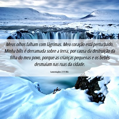 Picture 06 - Lamentações 2:11 BSL - Meus olhos falham com lágrimas. Meu coração - Bible Verse Picture