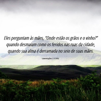 Picture 06 - Lamentações 2:12 BSL - Eles perguntam às mães, “Onde estão os - Bible Verse Picture