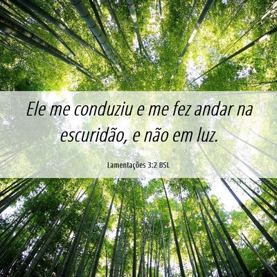 Picture 06 - Lamentações 3:2 BSL - Ele me conduziu e me fez andar na escuridão, e - Bible Verse Picture