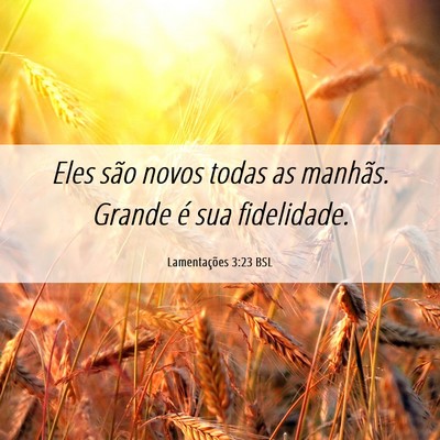 Picture 06 - Lamentações 3:23 BSL - Eles são novos todas as manhãs. Grande é sua - Bible Verse Picture