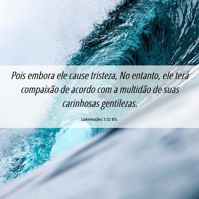 Picture 06 - Lamentações 3:32 BSL - Pois embora ele cause tristeza, No entanto, ele - Bible Verse Picture
