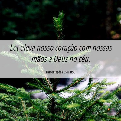 Picture 06 - Lamentações 3:41 BSL - Let eleva nosso coração com nossas mãos a Deus - Bible Verse Picture