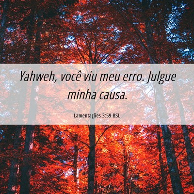 Picture 06 - Lamentações 3:59 BSL - Yahweh, você viu meu erro. Julgue minha - Bible Verse Picture