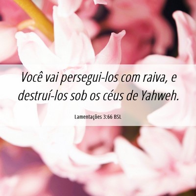 Picture 06 - Lamentações 3:66 BSL - Você vai persegui-los com raiva, e destruí-los - Bible Verse Picture