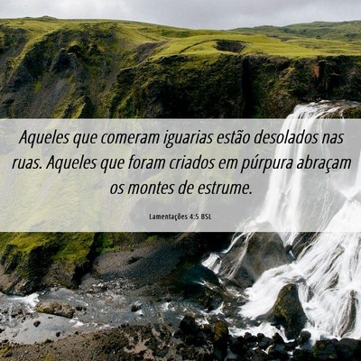 Picture 06 - Lamentações 4:5 BSL - Aqueles que comeram iguarias estão desolados nas - Bible Verse Picture