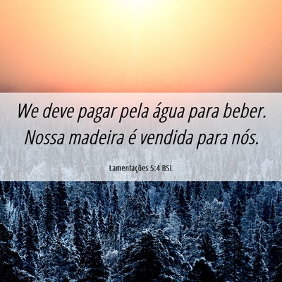 Picture 06 - Lamentações 5:4 BSL - We deve pagar pela água para beber. Nossa - Bible Verse Picture