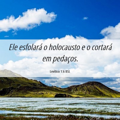 Picture 06 - Levítico 1:6 BSL - Ele esfolará o holocausto e o cortará em - Bible Verse Picture