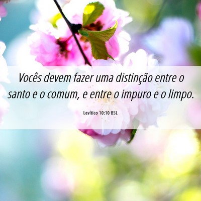 Picture 06 - Levítico 10:10 BSL - Vocês devem fazer uma distinção entre o santo - Bible Verse Picture