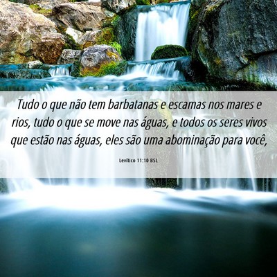 Picture 06 - Levítico 11:10 BSL - Tudo o que não tem barbatanas e escamas nos - Bible Verse Picture