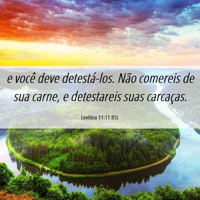 Picture 06 - Levítico 11:11 BSL - e você deve detestá-los. Não comereis de sua - Bible Verse Picture