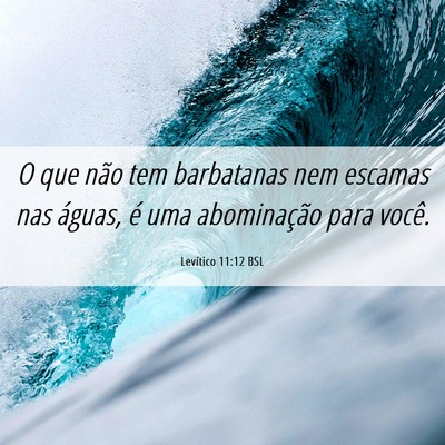 Picture 06 - Levítico 11:12 BSL - O que não tem barbatanas nem escamas nas águas, - Bible Verse Picture
