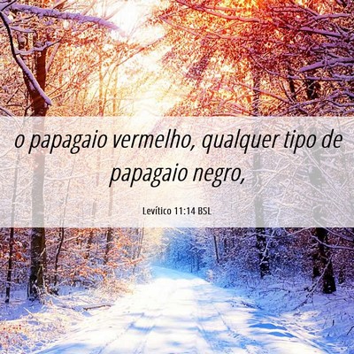 Picture 06 - Levítico 11:14 BSL - o papagaio vermelho, qualquer tipo de papagaio - Bible Verse Picture