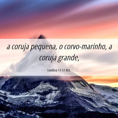 Picture 06 - Levítico 11:17 BSL - a coruja pequena, o corvo-marinho, a coruja - Bible Verse Picture