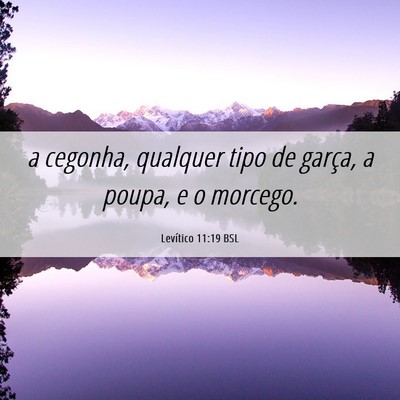 Picture 06 - Levítico 11:19 BSL - a cegonha, qualquer tipo de garça, a poupa, e o - Bible Verse Picture