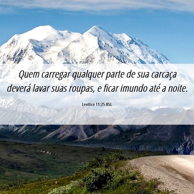 Picture 06 - Levítico 11:25 BSL - Quem carregar qualquer parte de sua carcaça - Bible Verse Picture