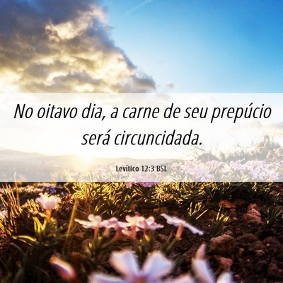 Picture 06 - Levítico 12:3 BSL - No oitavo dia, a carne de seu prepúcio será - Bible Verse Picture