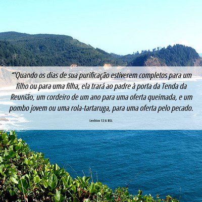 Picture 06 - Levítico 12:6 BSL - “'Quando os dias de sua purificação estiverem - Bible Verse Picture