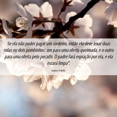 Picture 06 - Levítico 12:8 BSL - Se ela não puder pagar um cordeiro, então ela - Bible Verse Picture