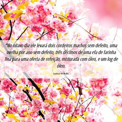 Picture 06 - Levítico 14:10 BSL - “No oitavo dia ele levará dois cordeiros - Bible Verse Picture