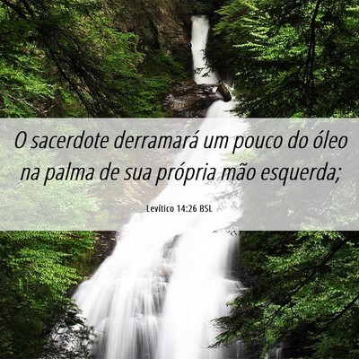 Picture 06 - Levítico 14:26 BSL - O sacerdote derramará um pouco do óleo na palma - Bible Verse Picture