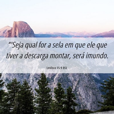 Picture 06 - Levítico 15:9 BSL - “'Seja qual for a sela em que ele que tiver a - Bible Verse Picture