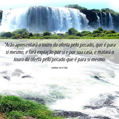 Picture 06 - Levítico 16:11 BSL - “Arão apresentará o touro da oferta pelo - Bible Verse Picture