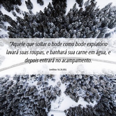 Picture 06 - Levítico 16:26 BSL - “Aquele que soltar o bode como bode expiatório - Bible Verse Picture